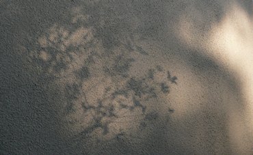 木漏れ日の影.JPG
