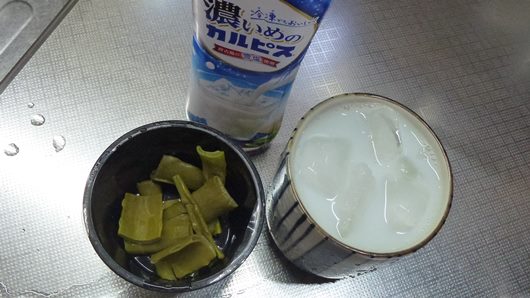 美味しいキダチアロエジュース.JPG